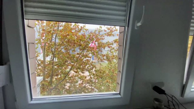 Радость за 33 евро в Белграде. Третий день в Сербии. #путешествие #сербия #белград