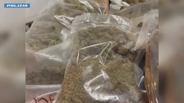 A Milano sequestro di 50 kg di droga e 20 mila euro, 7 arresti