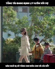 Tổng tài đang định ly hôn với vợ, nào ngờ bị cô tặng cho đứa con và cái kết