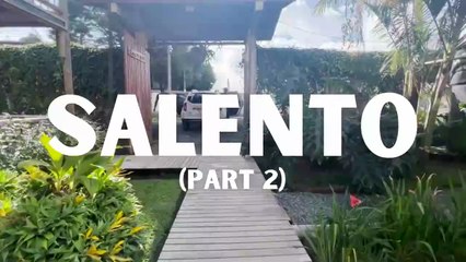 Don't Make This MISTAKE in Cocora Valley  Colombia Vlog 🇨🇴