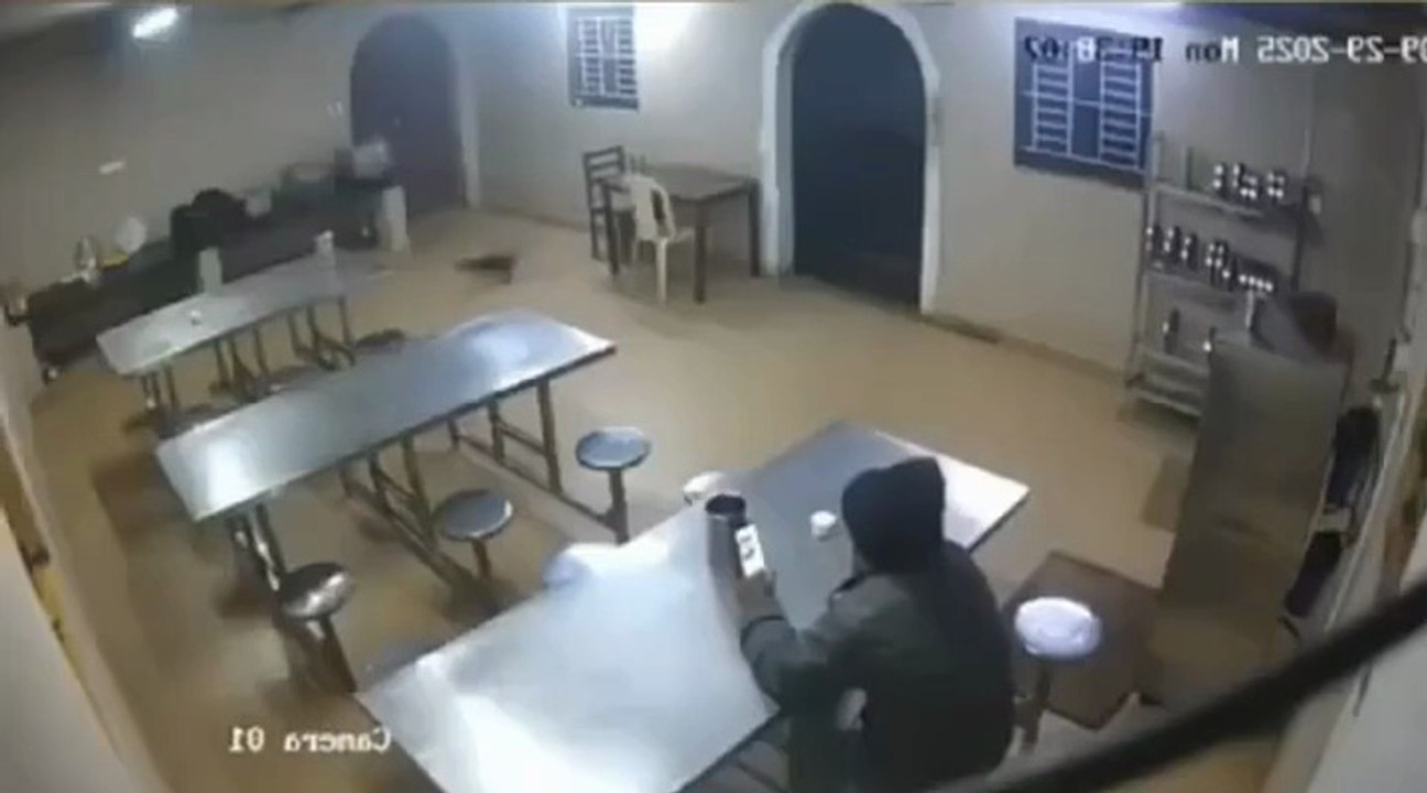 Tiger and men