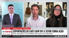 Exportações de café caem 18% e setor cobra ação; diretor-geral da Cecafé comenta
