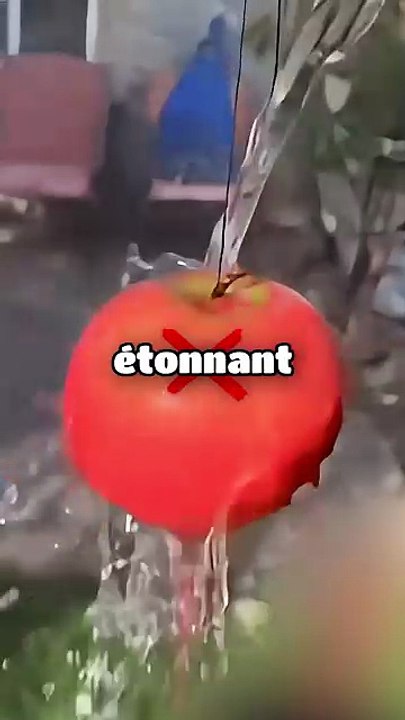 L'eau chaude peut changer la couleur des pommes ? 🍎