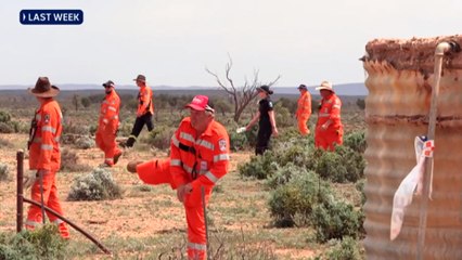 AI-generated image of missing four-year-old boy circulates online