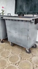 Hallan restos de un féretro en un contenedor del cementerio de San Juan de la Rambla