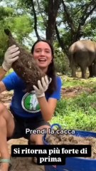 michelemonopoli story