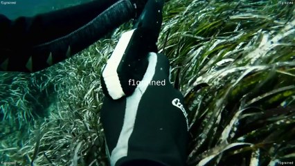 Formula 1 Drive To Survive_S02E03_Dogfight