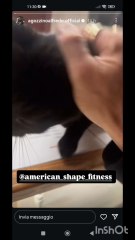 agozzinoalfredo i suoi amici cani e gatti