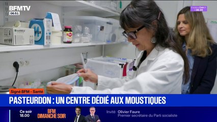 Pasteurdon: un centre dédié aux moustiques