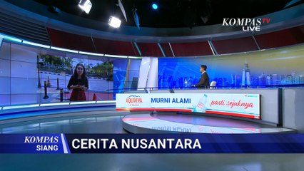 [FULL] Kisah Mukadi, Pionir Kerupuk Koin Balikpapan yang Bertahan Hampir 30 Tahun | KOMPAS SIANG