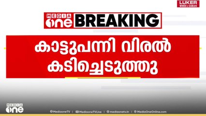 കൊല്ലത്ത് കാട്ടുപന്നി വയോധികയുടെ ചൂണ്ടു വിരല്‍ കടിച്ചെടുത്തു