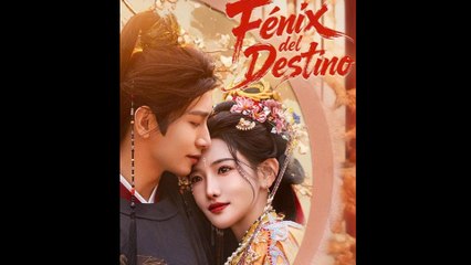 Fénix del destino En Español