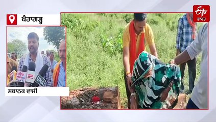 "ਪਿੱਪਲ ਨਹੀਂ, ਮੇਰਾ ਪੁੱਤਰ ਸੀ", 90 ਸਾਲ ਦੀ ਬਜ਼ੁਰਗ ਨਾਲ ਜੁੜੀ ਕੁਦਰਤ ਅਤੇ ਵਿਸ਼ਵਾਸ ਦੀ ਅਨੋਖੀ ਕਹਾਣੀ