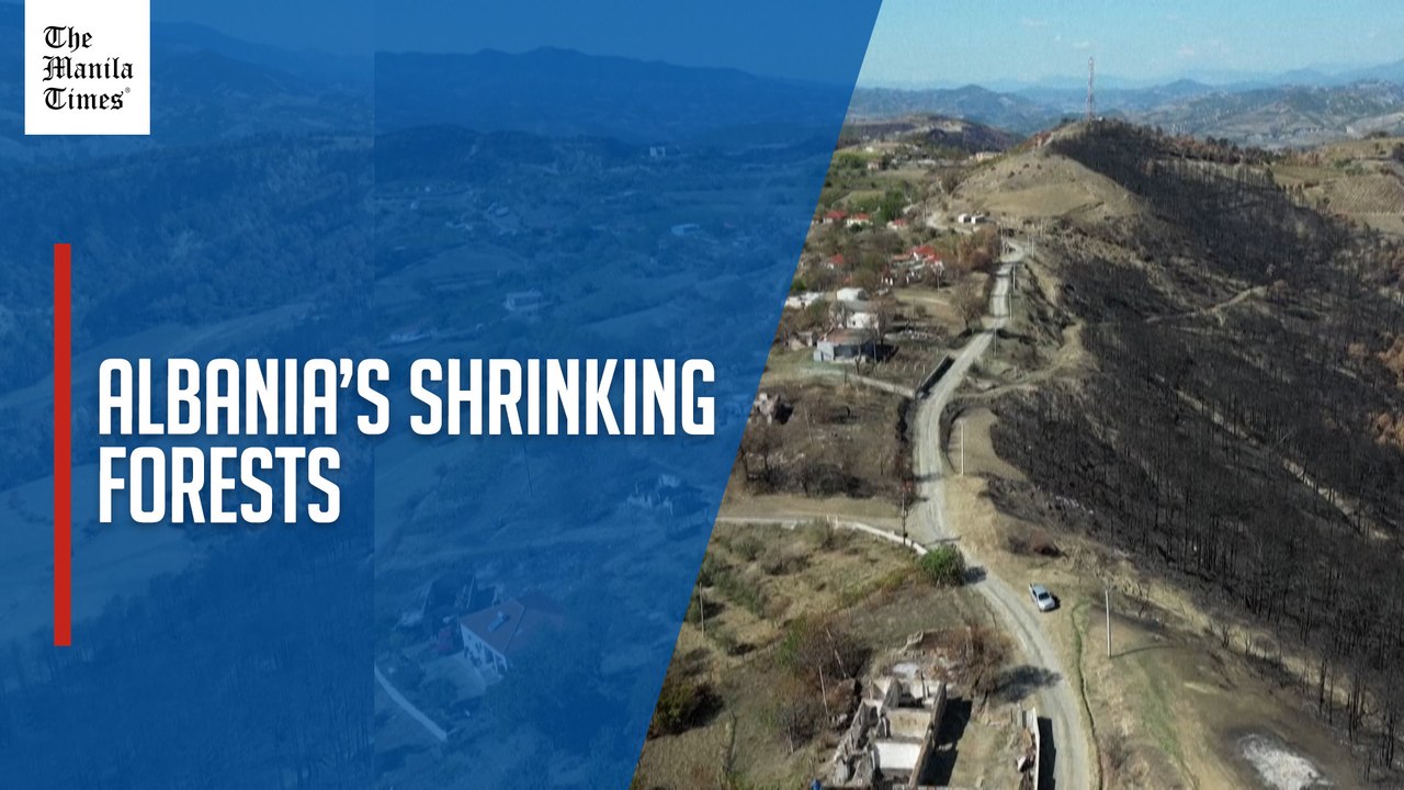 Questions loom over Albania's forests after devastating fires