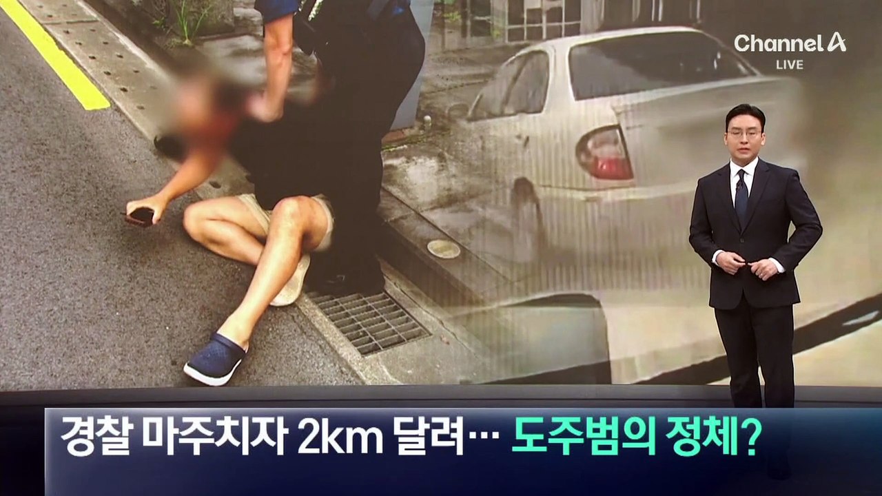 경찰 마주치자 2km 달려…잡고 보니 10년 불법체류 중국인