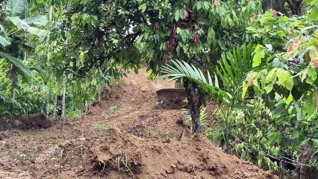 Reviving the Plantation Road, Bulldozer D6R XL Works Neatly