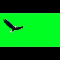 SERDAR ŞİMŞEK KARTAL ASLAN GORİL ANİMASYON