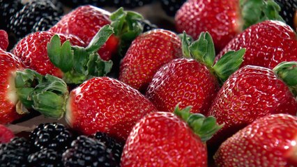 Destaques Globo Rural 12/10/2025