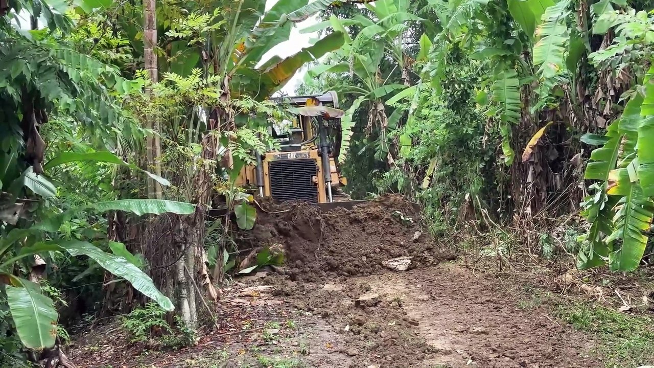 Efficiency of the D6R XL Bulldozer in Clearing Plantation Roads