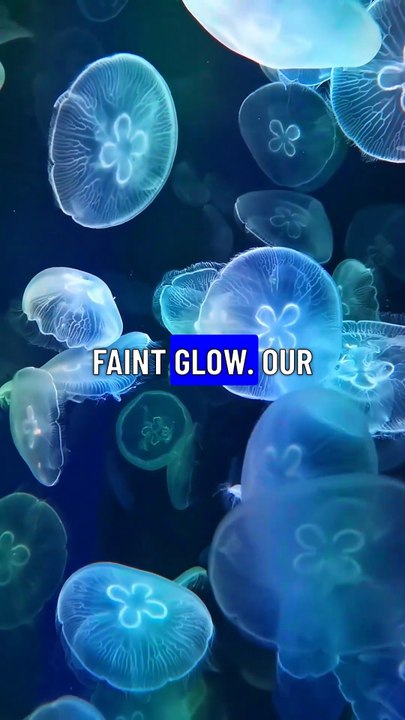 Did You Know  #DidYouKnow #FunFacts #WeirdFacts