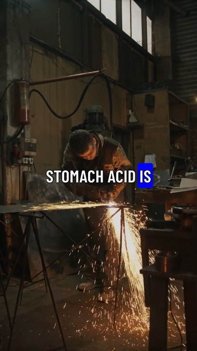 Did You Know  #DidYouKnow #FunFacts #WeirdFacts