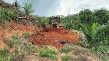 Optimizing Road Service with D6R XL Bulldozer in Palm Oil Plantations