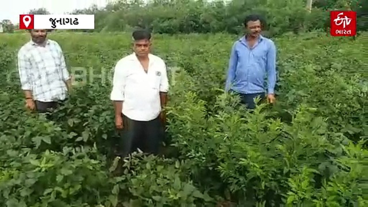 રાષ્ટ્રીય ધોરીમાર્ગ ખેડૂતો માટે ચિંતાનો વિષય, આના કારણે ખેડુતોનો પાક નિષ્ફળ જઈ શકે છે
