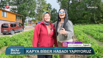 Marka Şehirler 2025: En Güncel Bilgiler ve Gelecek Planları