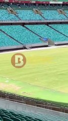 Veja condições do novo gramado da Arena Fonte Nova