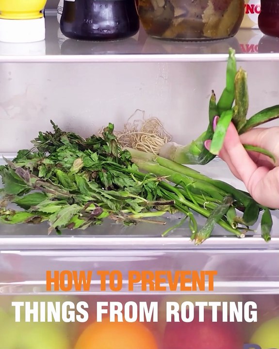 Tips on keeping your flowers and vegetables fresh!