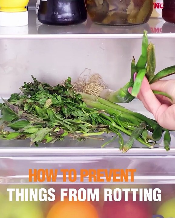 Tips on keeping your flowers and vegetables fresh!