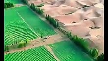 China Is Deleting Deserts from the Map! 🌍