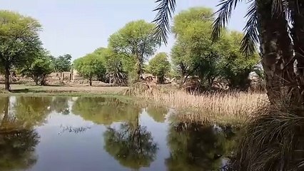 Beautiful view of water and trees
