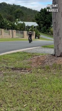 Cette petite fille se rend auprès de son grand-frère pour prendre soin de lui