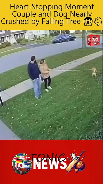 Heart-Stopping Moment Couple and Dog Nearly Crushed by Falling Tree 😱🌳 #Viral #News