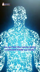 காயகல்பா யோகா நன்மைகள் | வயது குறைக்கும், நீண்ட ஆயுள் & உள்ளார்ந்த சக்தி ரகசியங்கள்