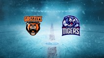 Highlights von Grizzlys Wolfsburg - Straubing Tigers