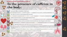 Influence of caffeine on the body