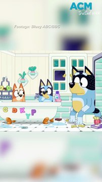 Limited edition 2025 Bluey coins released