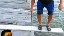 Siapa yang kenal bapak ini