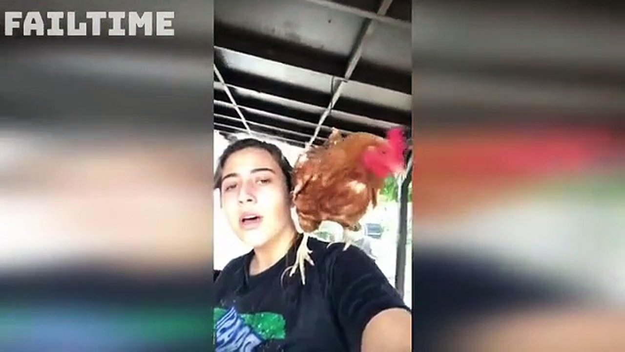 Ultimate Funny Animals Moments 2025 Cute Pets Doing Crazy Things You Must See