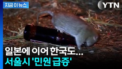 서울시 민원 '확 늘어'... 강남·마포·관악 집중 [지금이뉴스] / YTN