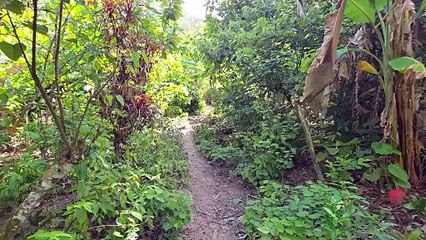 Visitamos una Tribu Taína en Cuba y nos recibieron así... 😱 (INCREÍBLE SHOW)