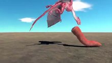 Wyvern vs Every Animal Unit