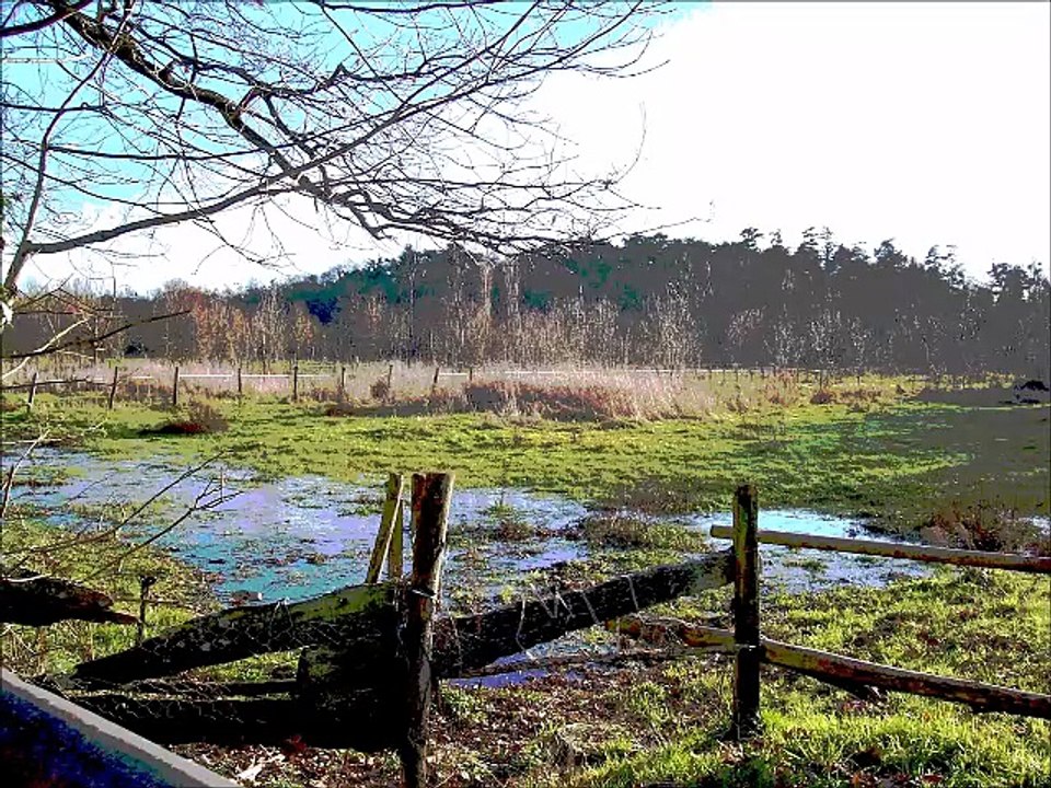 Barrières (montage artistique)