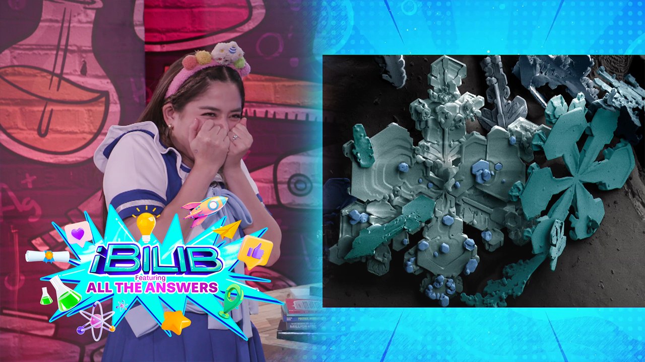 iBilib: Guess the secret object under the microscope in the 'hula-rawan' challenge!