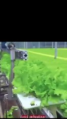 Edible mRNA...The Threat Of The Engineered Bioweapon Inserted Into Our ...