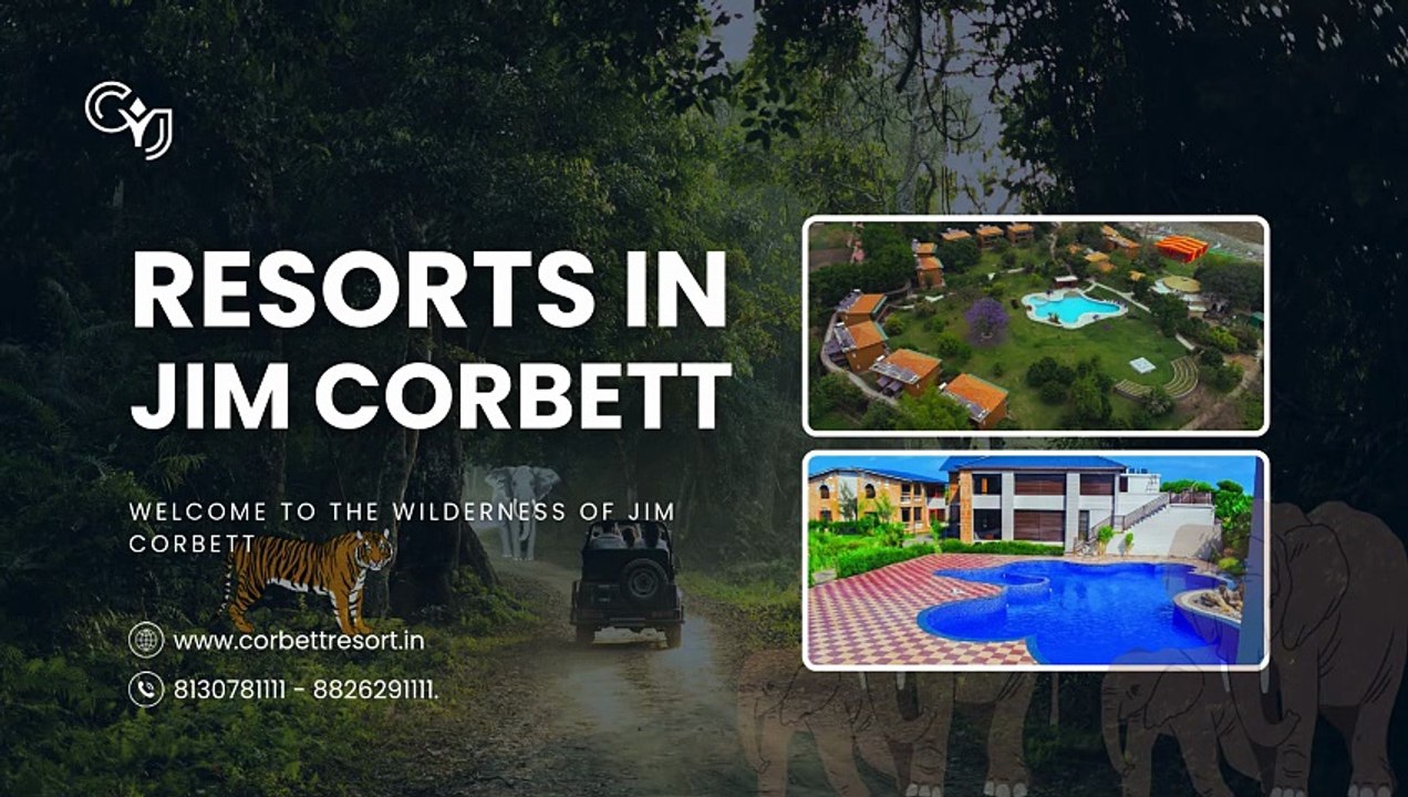 Best Resorts in Jim Corbett: Luxury Stay Amidst Nature & Adventure
