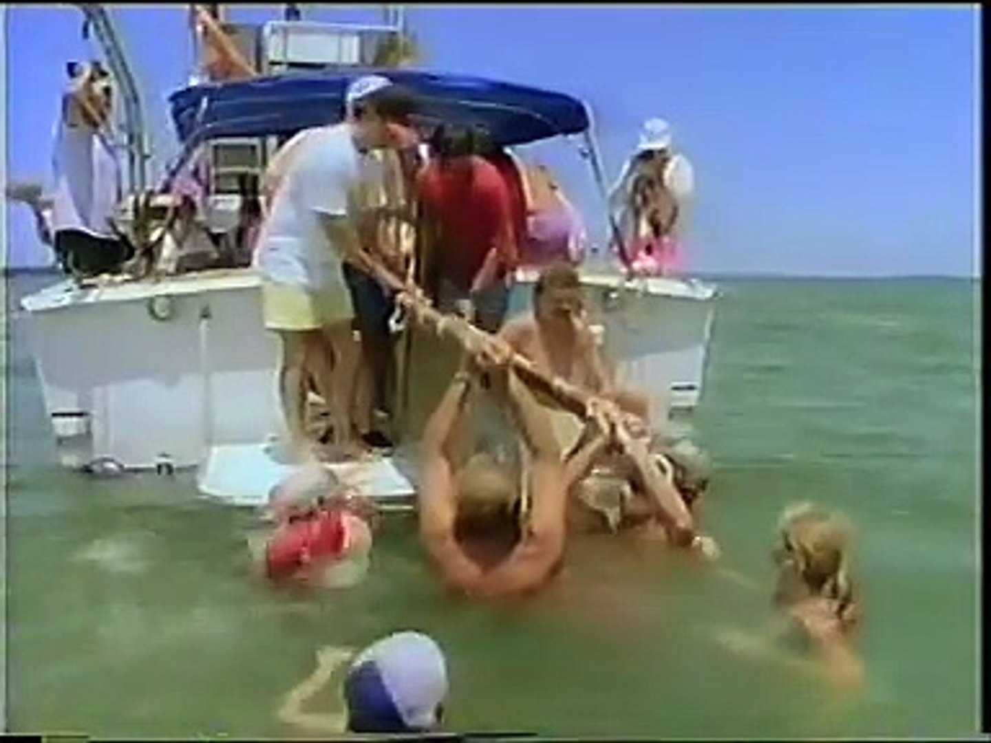 ⁣The Private Lives of Dolphins