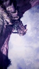 Monster Hunter #gaming